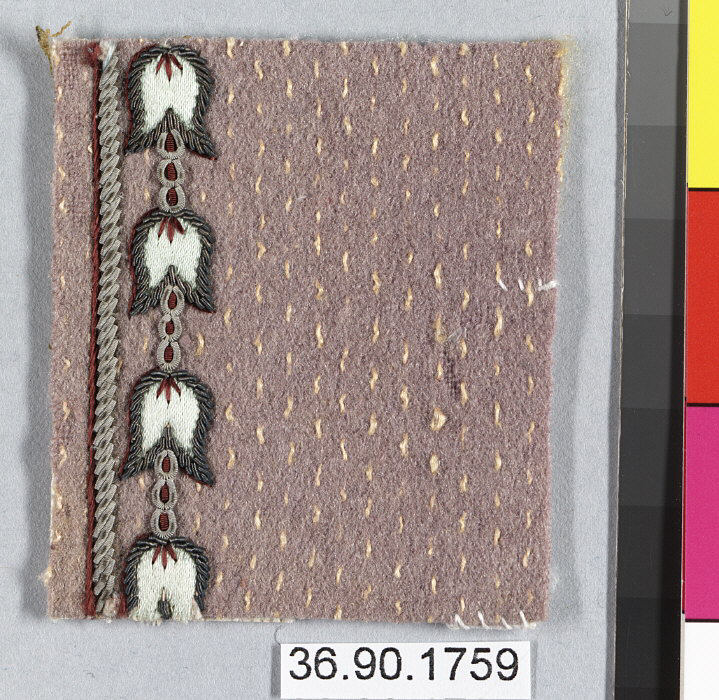 Sartorial Specimen