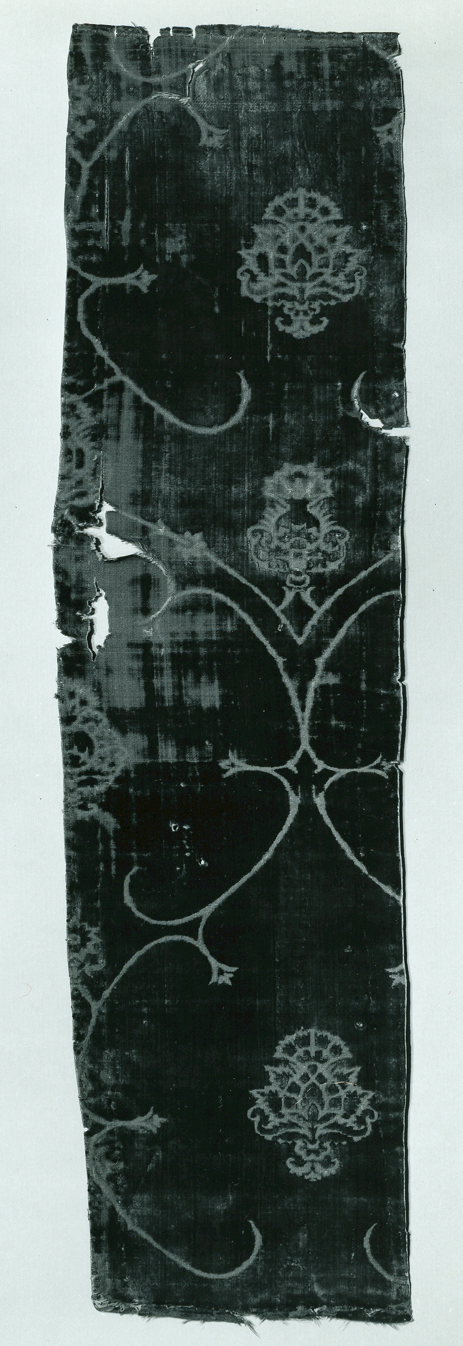 Sartorial Specimen