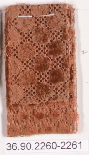 Sartorial Specimen