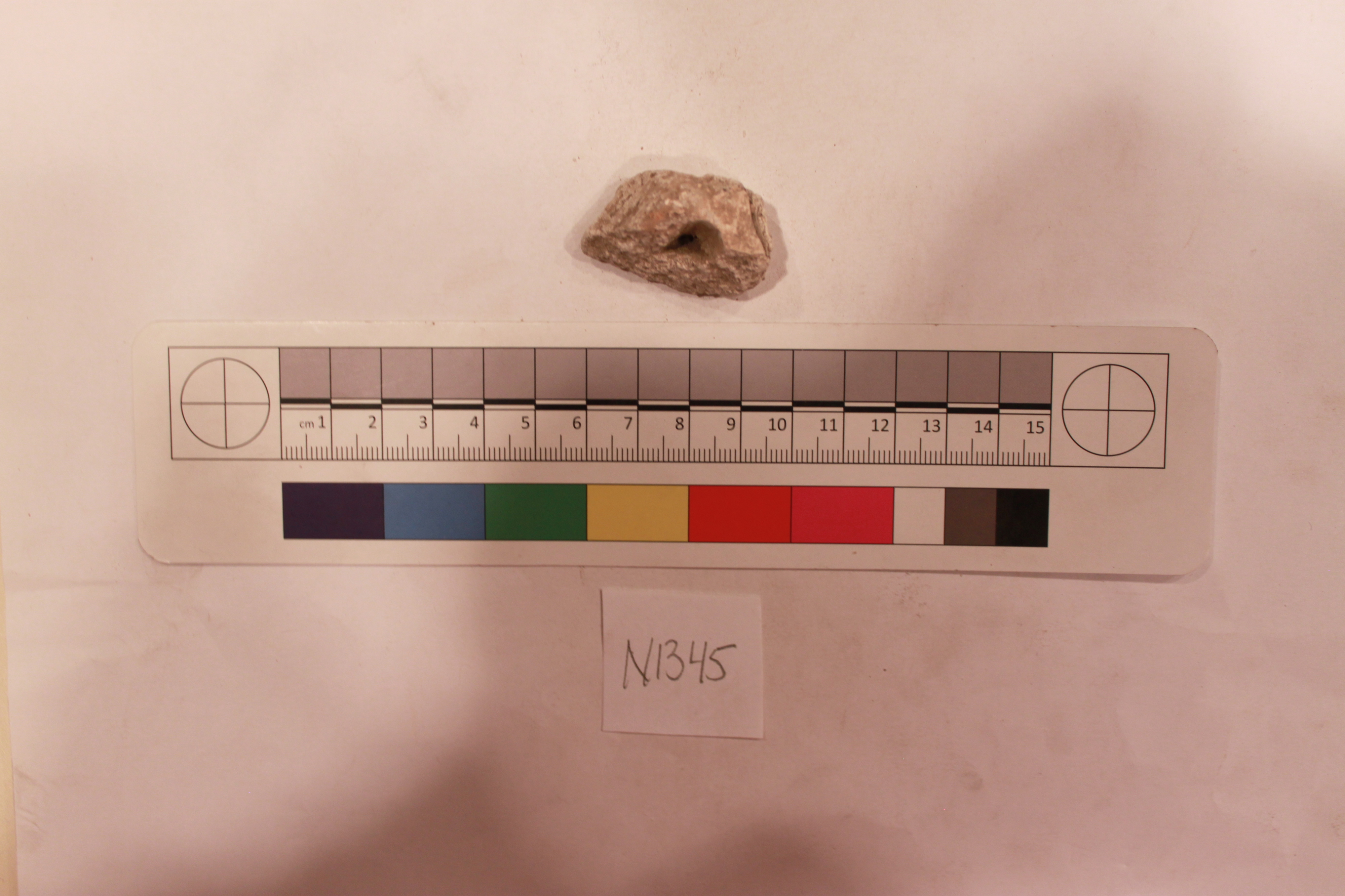 Sartorial Specimen